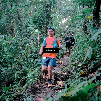 Runner Photo 5243709