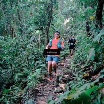 Runner Photo 5243710