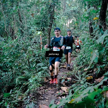 Runner Photo 5243711