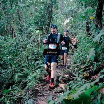 Runner Photo 5243713