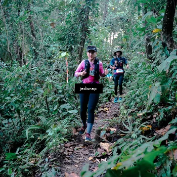 Runner Photo 5243725