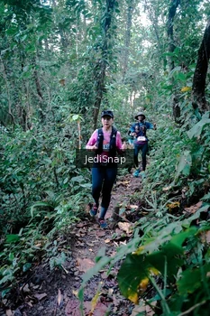 Runner Photo 5243728