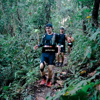 Runner Photo 5243729