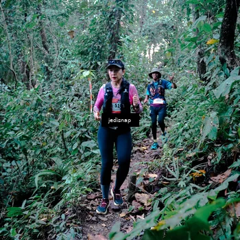 Runner Photo 5243733