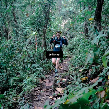 Runner Photo 5243741