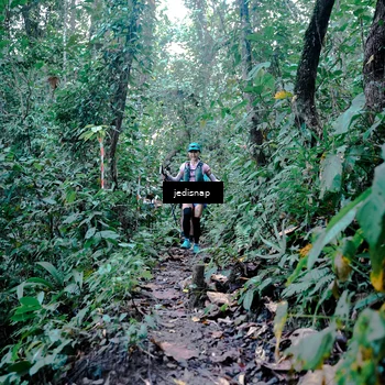 Runner Photo 5243763