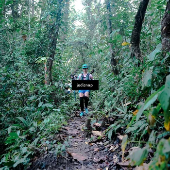 Runner Photo 5243764