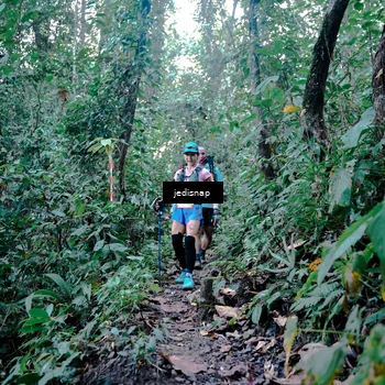 Runner Photo 5243765