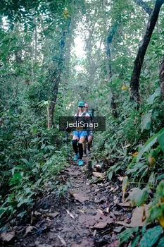 Runner Photo 5243774