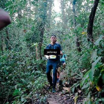 Runner Photo 5243791