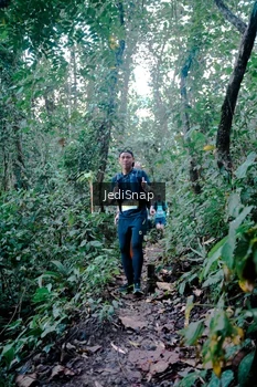 Runner Photo 5243793
