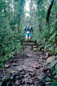 Runner Photo 5243915