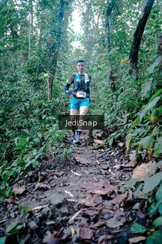 Runner Photo 5243916