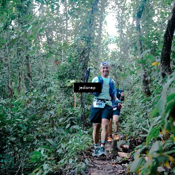 Runner Photo 5243951