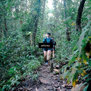 Runner Photo 5243967