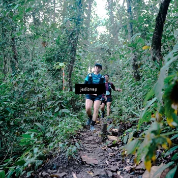 Runner Photo 5243974