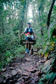 Runner Photo 5243986