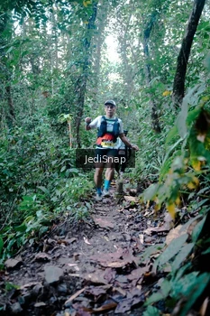Runner Photo 5243987