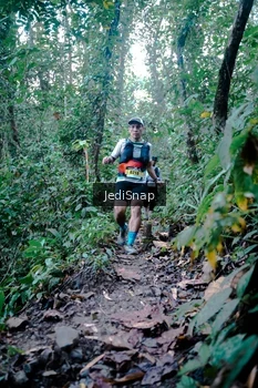 Runner Photo 5243990