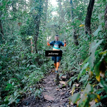Runner Photo 5244006