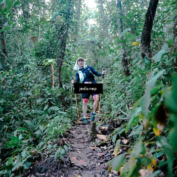 Runner Photo 5244023