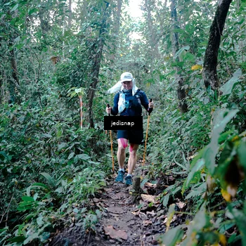 Runner Photo 5244031