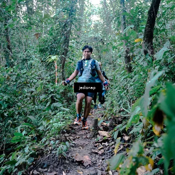 Runner Photo 5244075