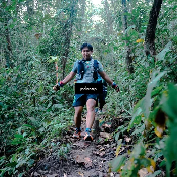 Runner Photo 5244080