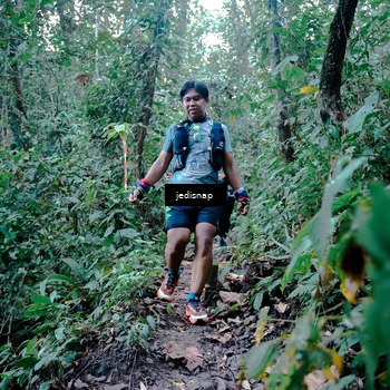 Runner Photo 5244082