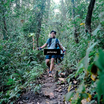 Runner Photo 5244083