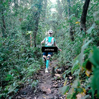 Runner Photo 5244160