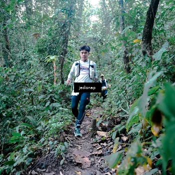 Runner Photo 5244202