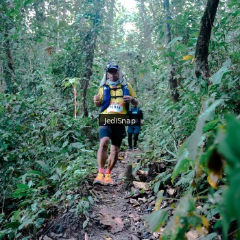 Runner Photo 5244250