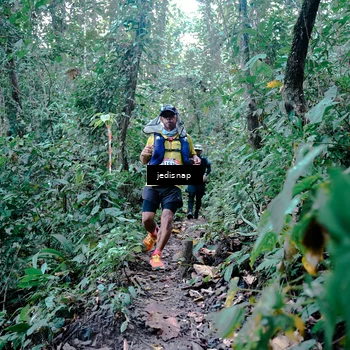 Runner Photo 5244253