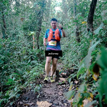 Runner Photo 5244282