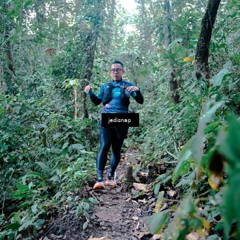 Runner Photo 5244398