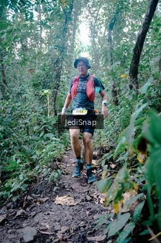 Runner Photo 5244596