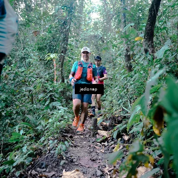 Runner Photo 5244707