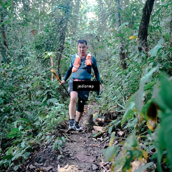 Runner Photo 5244753