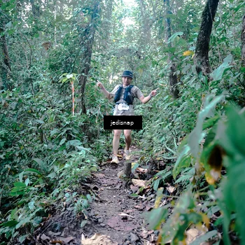 Runner Photo 5244815