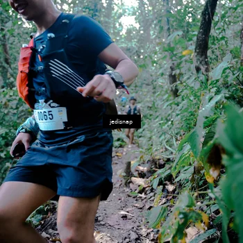 Runner Photo 5244816