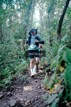 Runner Photo 5244831