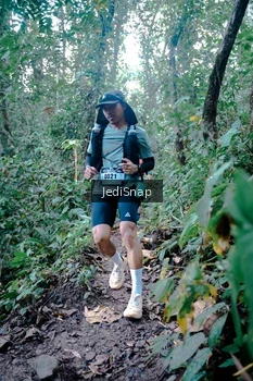 Runner Photo 5244832