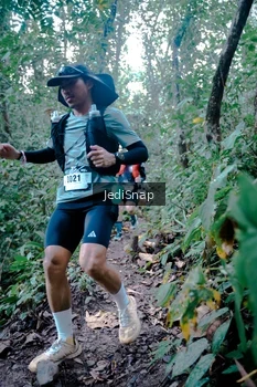 Runner Photo 5244839