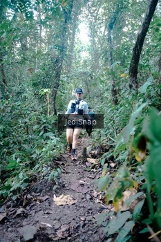 Runner Photo 5244843