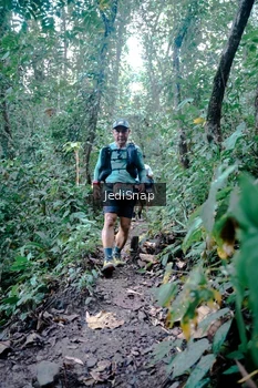 Runner Photo 5244884