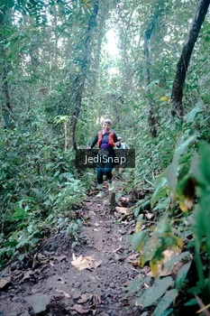 Runner Photo 5245064