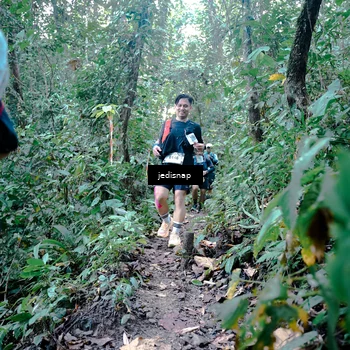 Runner Photo 5245147