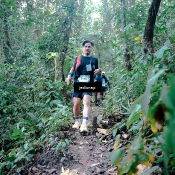 Runner Photo 5245154