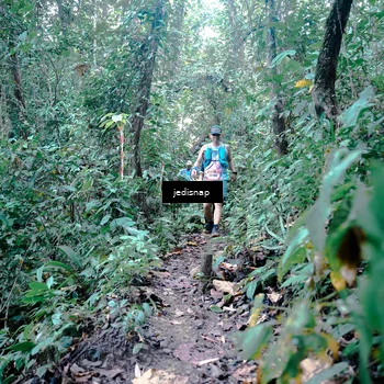 Runner Photo 5245186